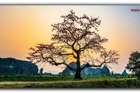 Khi hoàng hôn buông xuống....