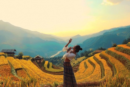 UPDATE - Các Điểm Check-in Đẹp Nhất Vào Mùa Lúa Chín Vàng 