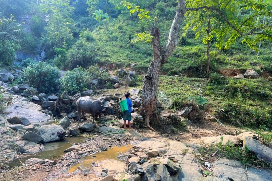 Thác Háng Tề Chơ | Tứ đại thánh địa của núi rừng Tây Bắc