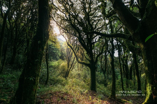 Nếu tôi nói nơi đây ở Việt Nam, bạn có tin không?