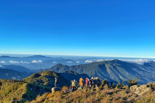 Hoa Chi Pâu trên đỉnh Tà Chì Nhù năm nay đẹp quá điiiiii