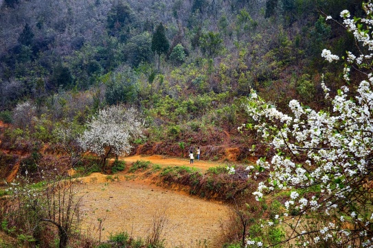 Lưng chừng Lùng Cúng
