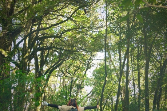 MÌNH CHỌN TREKKING LÙNG CÚNG 