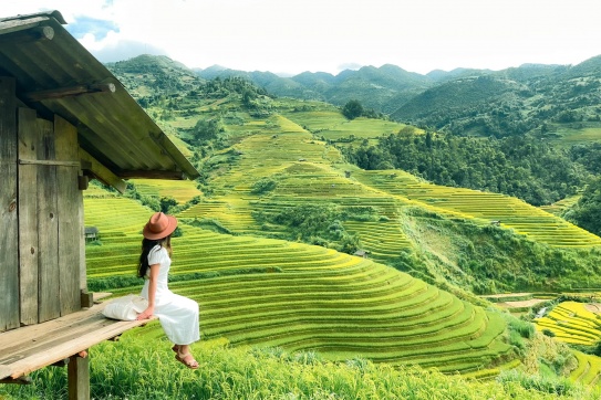 Có một Mù Cang Chải đang vào độ chín vàng