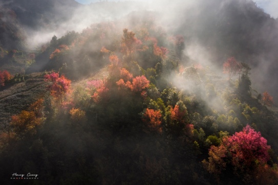 Nắng chớm đầu đông với mùa hoa Tớ Dày trên bản làng La Pán Tẩn.