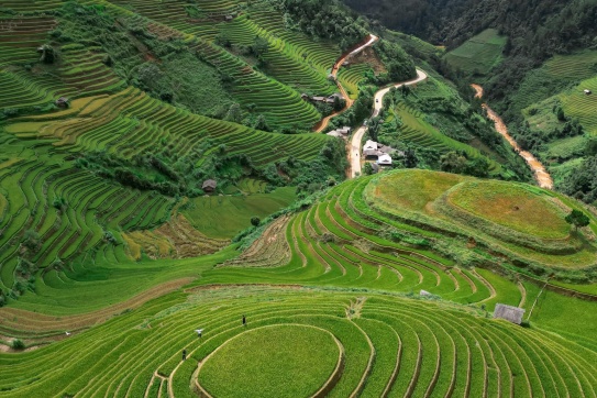 Hành trình săn mùa vàng tại Mù Cang Chải