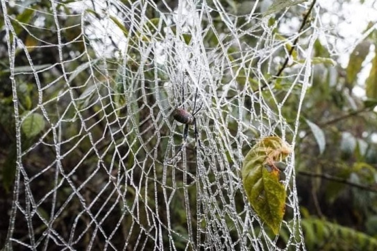 Dành cho những tín đồ chuẩn bị lên Mù Cang Chải.