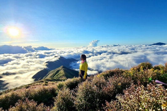 "Sa chân lỡ bước" vào niềm đam mê leo núi