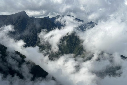 Săn Thành Công Hoa Chi Pâu Trên Tà Chì Nhù Rồi Thì Mình Cùng Chinh Phục Tà Xùa - Thiên Đường Mây