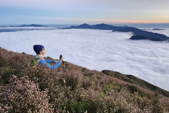 MÙA HOA CHI PÂU TRÊN ĐỈNH TÀ CHÌ NHÙ