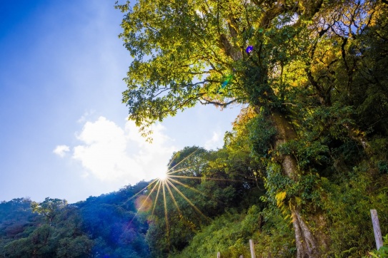 Đỉnh núi Tà Xùa cao 2865m tại Trạm Tấu - Yên Bái