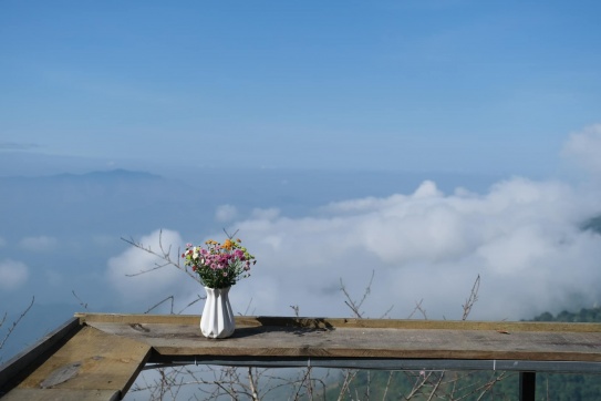 Tà Xùa hoa đào hoa mận đã chớm nở!