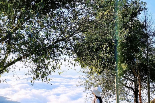 Lần đầu lên Tà Xùa “bắt trọn” biển mây và hoàng hôn