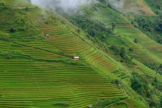 ĐI TÀ XÙA SĂN MÂY VÀ NGẮM LÚA, TẠI SAO LẠI KHÔNG?!