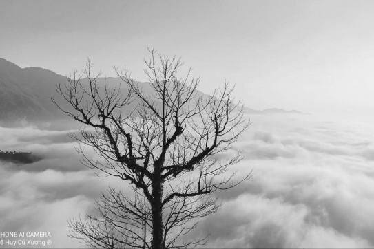 Lên Tà Xùa ngắm "thiên đường mây” 