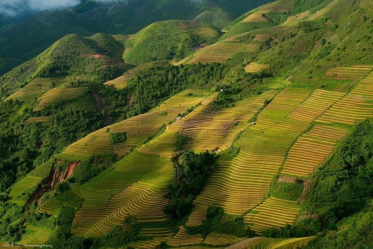 Xím Vàng với những thửa ruộng bậc thang đẹp mê mẩn 