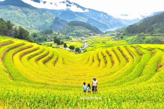 Mùa vàng trên nương, mây trắng vấn vương