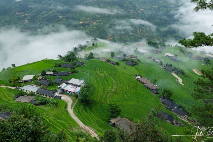 GỢI Ý LỊCH TRÌNH 3N2Đ Ở HOÀNG SÙ PHÌ NGẮM LÚA, SĂN MÂY GỢI Ý LỊCH TRÌNH 3N2Đ Ở HOÀNG SÙ PHÌ NGẮM LÚA, SĂN MÂY