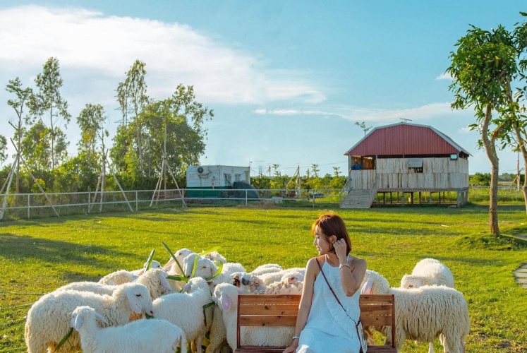 Ghé thăm Trang trại Cừu - Tọa độ check-in cực thơ thẩn ngay tại Bạc Liêu! 