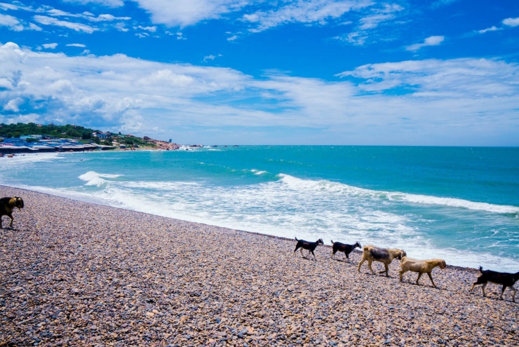 Bãi biển Cổ Thạch (Bình Thuận)