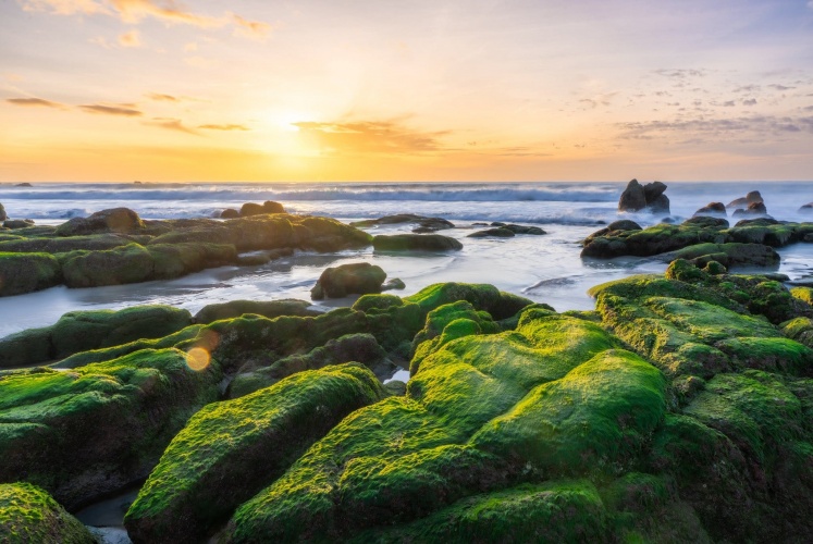 Check in Cổ Thạch-Bình Thuận,một ngày trời xịt đầu năm.