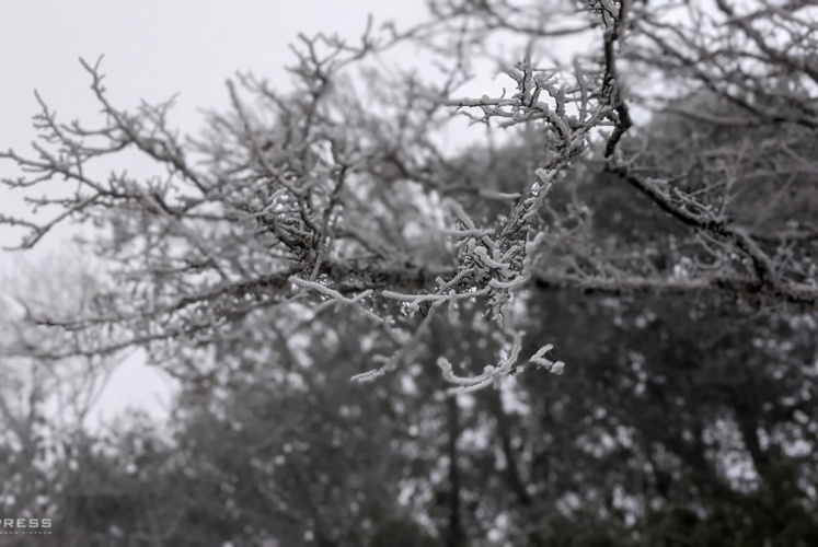 Mùa đông này check-in Đỉnh Phia Oắc (Cao Bằng) săn “băng giá”