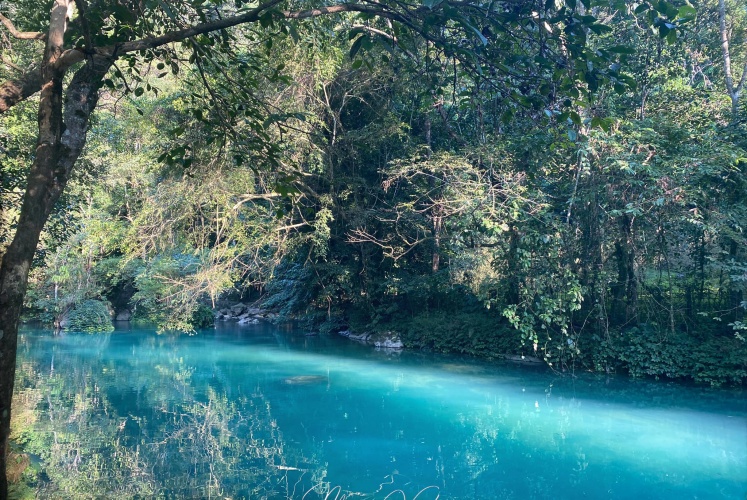 Khoe ảnh điện thoại chưa chỉnh màu của mọi người đi nào?