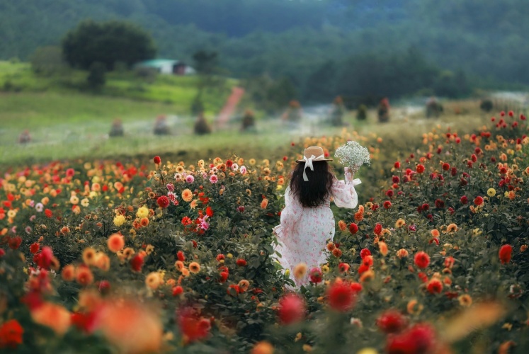Check-in Đà Lạt mùa này 
