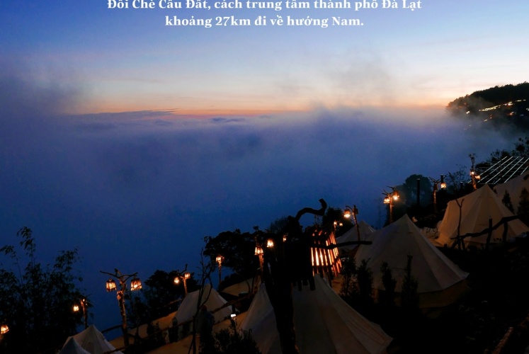 Những điểm check-in đẹp nhất mùa xuân Đà Lạt