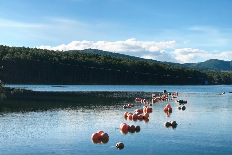 Happy Hill Điểm check-in cực kỳ chill tại Hồ Tuyền Lâm