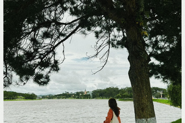 Đà Lạt hết mùa mưa, cũng là lúc bước vào mùa đẹp nhất