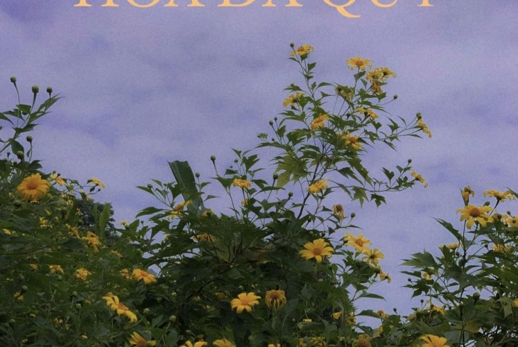 Mùa hoa dã quỳ | Có một Ba Vì thật tình!