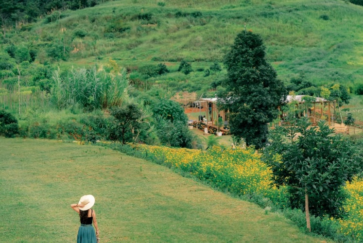 Miền quê xanh ngát ....