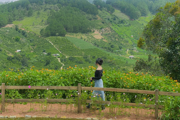 | Đà Lạt | Hương mùa hạ