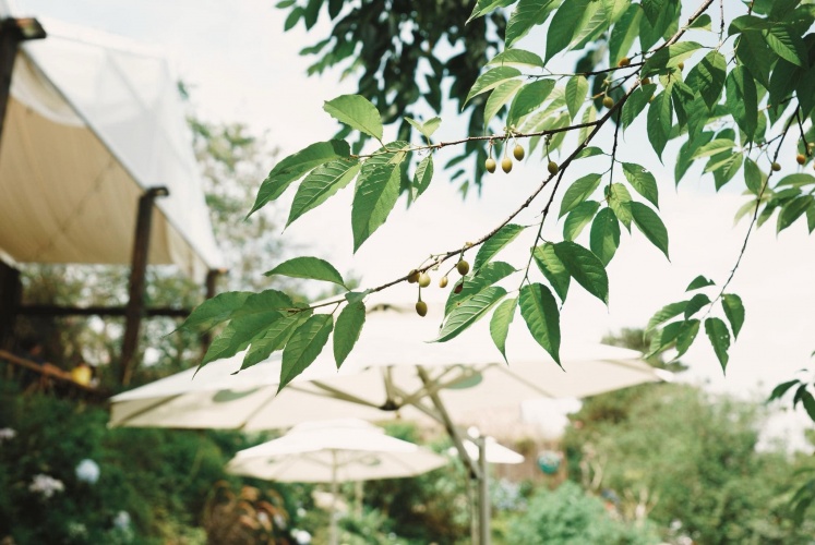 Mùa hè người người nhà nhà đi biển....