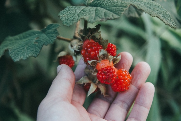 Đà Lạt | Phong vị mùa thu