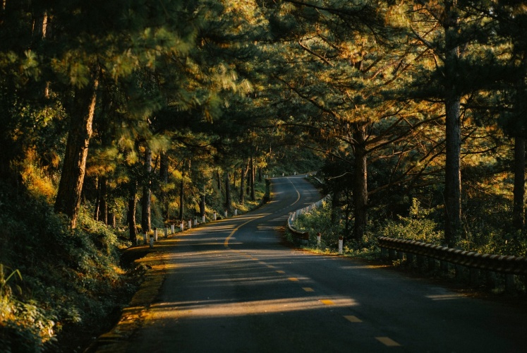 Mùa thu Đà Lạt, trong ánh mắt của kẻ si tình.