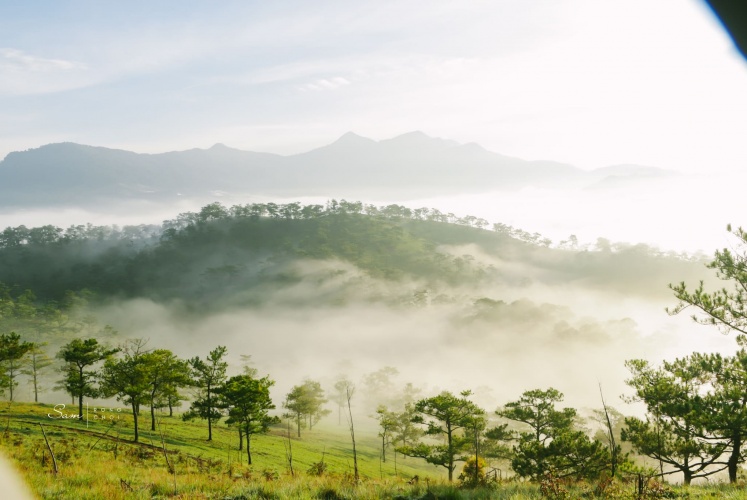 Săn mây thôi các bạn ơi!!!