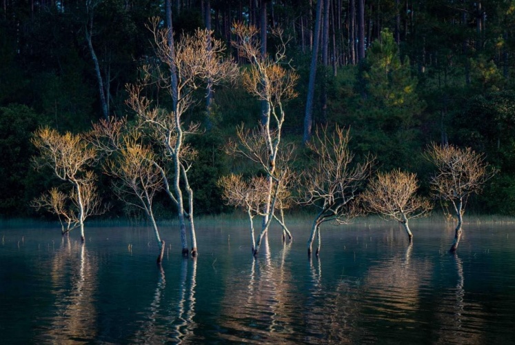 Suối Tía | Dòng nước khởi nguồn cho Hồ Tuyền Lâm