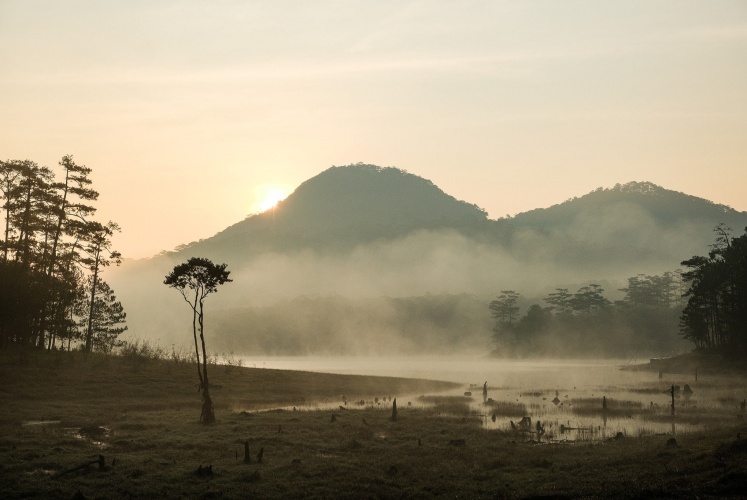 Suối Tía (Đà Lạt) vào một buổi sớm bình minh.