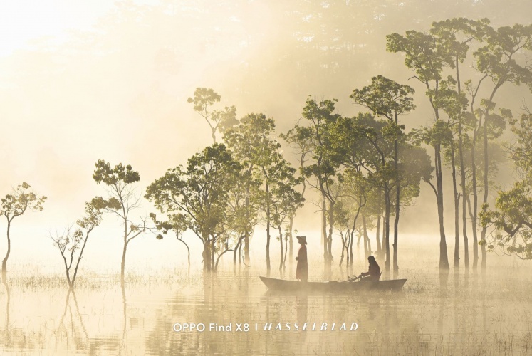 SUỐI TÍA - ĐÀ LẠT 