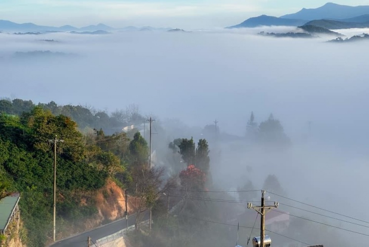 Đà Lạt những ngày đầu tháng 01