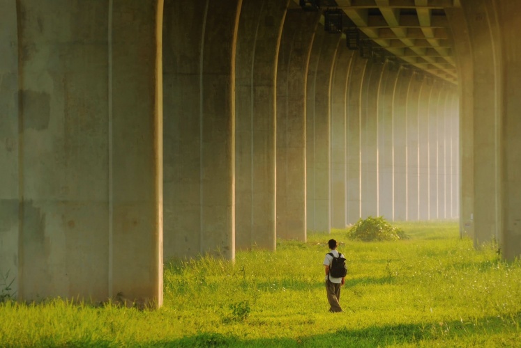 Mọi người ghé Đồng Tháp ko nên bỏ qua điểm checkin đỉnh cao này nha. 