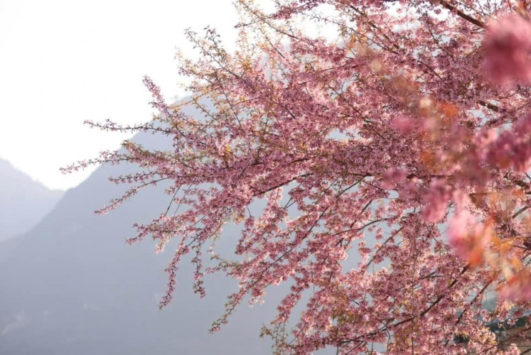 Ngay hôm nay tại Đồn Biên phòng Lũng Cú