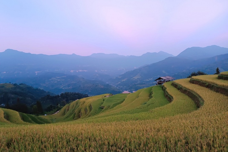 Hoàng Su Phì, Hà Giang