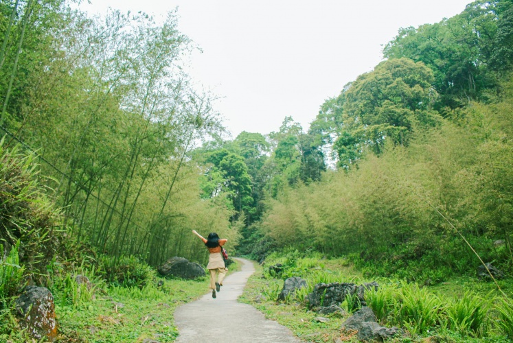 Làng Sảo Há | Thung lũng trên cao