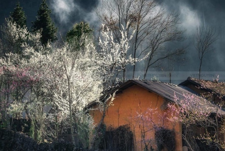 Những Ngày Đầu Đông Lạnh Lẽo