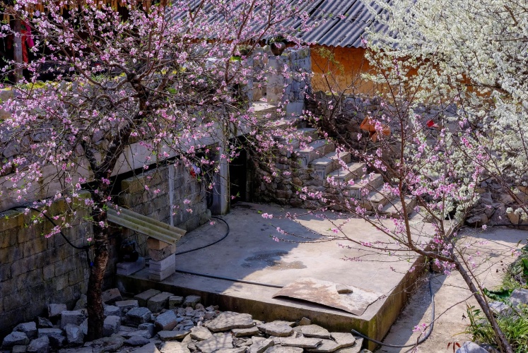 Nhà cổ Lao Xa - Hà Giang