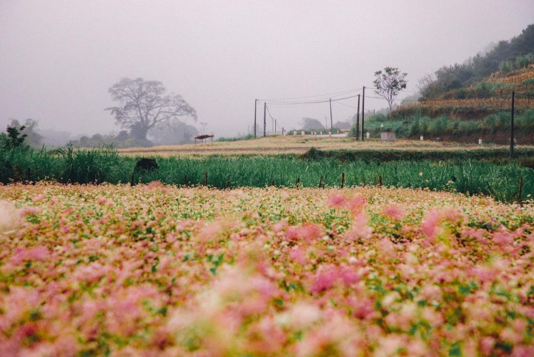 Có một Hà Giang xinh đẹp đến thế
