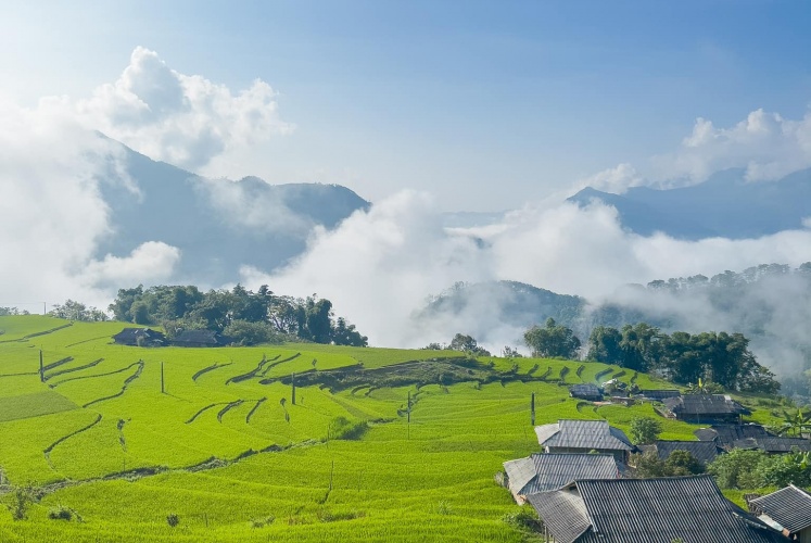 Đẹp ngỡ ngàng với mùa hoa tam giác mạch và mùa lúa ở Hà Giang